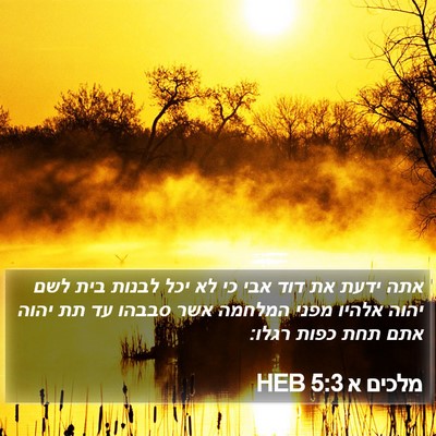 מלכים א 5:3 HEB Bible Verse Image