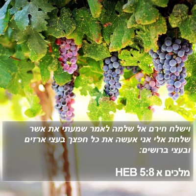 מלכים א 5:8 HEB Bible Verse Image
