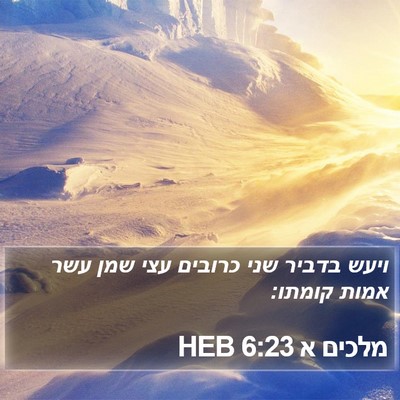 מלכים א 6:23 HEB Bible Verse Image