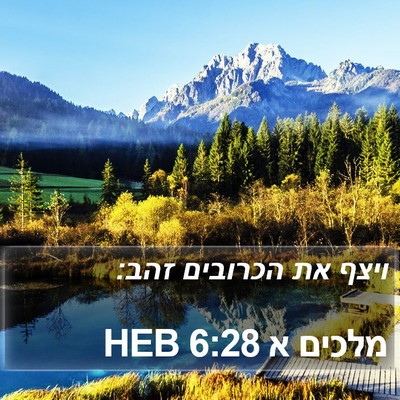 מלכים א 6:28 HEB Bible Verse Image