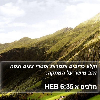 מלכים א 6:35 HEB Bible Verse Image