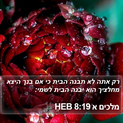 מלכים א 8:19 HEB Bible Verse Image