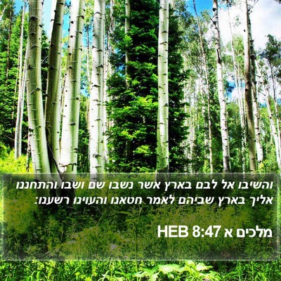 מלכים א 8:47 HEB Bible Verse Image