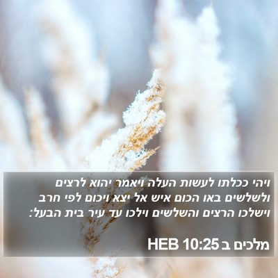 מלכים ב 10:25 HEB Bible Verse Image
