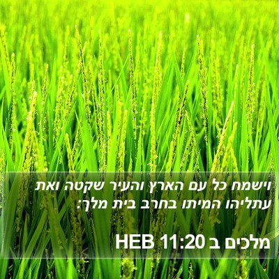 מלכים ב 11:20 HEB Bible Verse Image