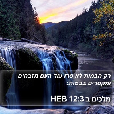 מלכים ב 12:3 HEB Bible Verse Image
