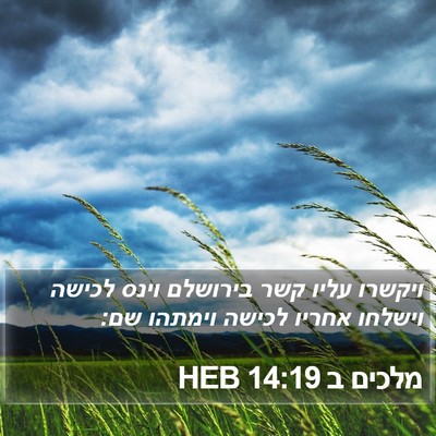 מלכים ב 14:19 HEB Bible Verse Image