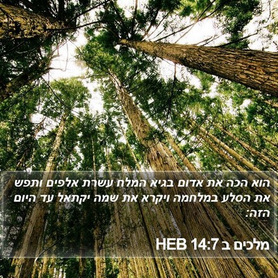 מלכים ב 14:7 HEB Bible Verse Image