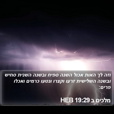 מלכים ב 19:29 HEB Bible Verse Image