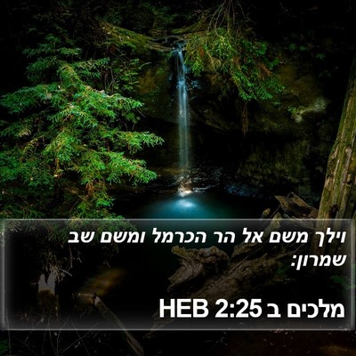 מלכים ב 2:25 HEB Bible Verse Image
