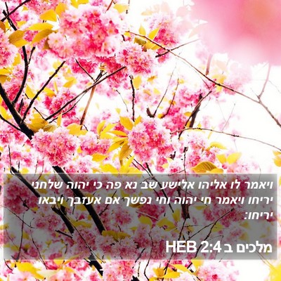 מלכים ב 2:4 HEB Bible Verse Image