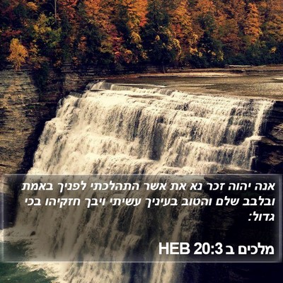 מלכים ב 20:3 HEB Bible Verse Image