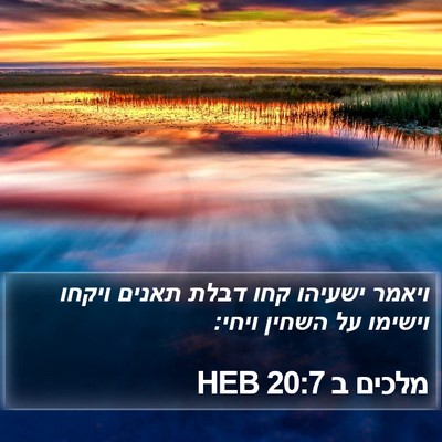 מלכים ב 20:7 HEB Bible Verse Image