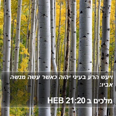 מלכים ב 21:20 HEB Bible Verse Image