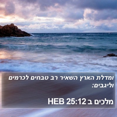 מלכים ב 25:12 HEB Bible Verse Image