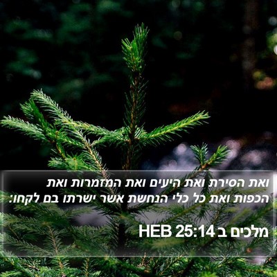 מלכים ב 25:14 HEB Bible Verse Image