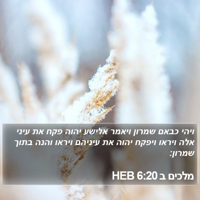 מלכים ב 6:20 HEB Bible Verse Image