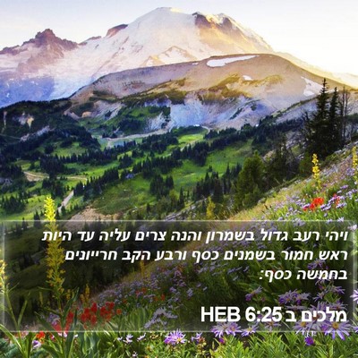 מלכים ב 6:25 HEB Bible Verse Image
