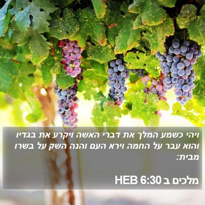 מלכים ב 6:30 HEB Bible Verse Image