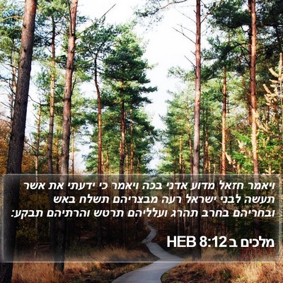 מלכים ב 8:12 HEB Bible Verse Image