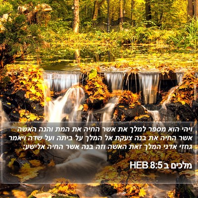 מלכים ב 8:5 HEB Bible Verse Image