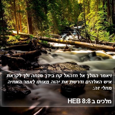 מלכים ב 8:8 HEB Bible Verse Image