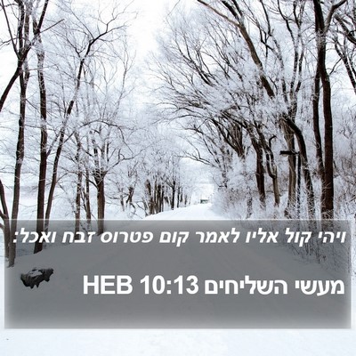 מעשי השליחים 10:13 HEB Bible Verse Image