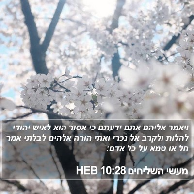 מעשי השליחים 10:28 HEB Bible Verse Image