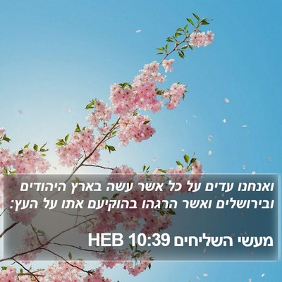 מעשי השליחים 10:39 HEB Bible Verse Image