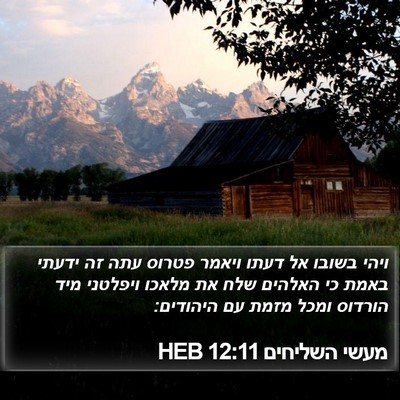 מעשי השליחים 12:11 HEB Bible Verse Image