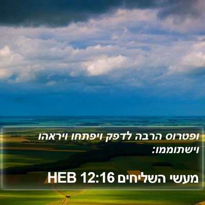 מעשי השליחים 12:16 HEB Bible Verse Image