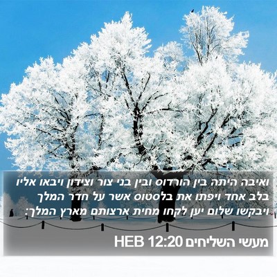 מעשי השליחים 12:20 HEB Bible Verse Image