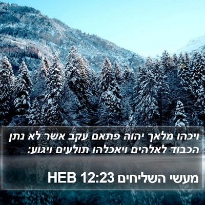 מעשי השליחים 12:23 HEB Bible Verse Image