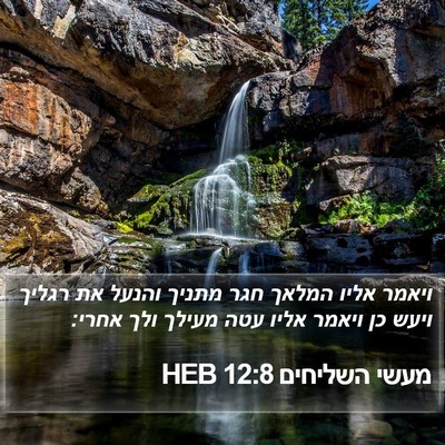 מעשי השליחים 12:8 HEB Bible Verse Image