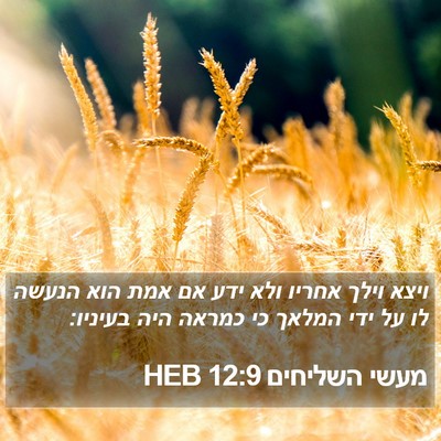 מעשי השליחים 12:9 HEB Bible Verse Image