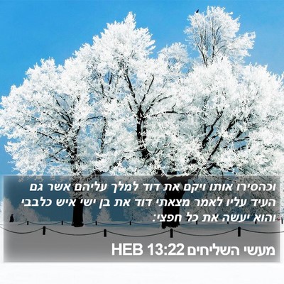מעשי השליחים 13:22 HEB Bible Verse Image