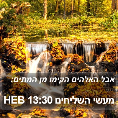 מעשי השליחים 13:30 HEB Bible Verse Image