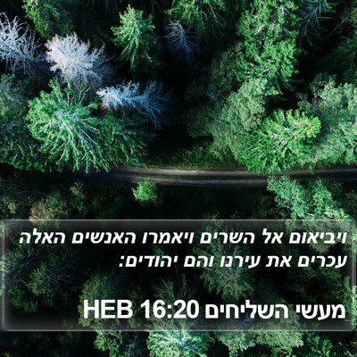 מעשי השליחים 16:20 HEB Bible Verse Image
