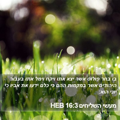 מעשי השליחים 16:3 HEB Bible Verse Image