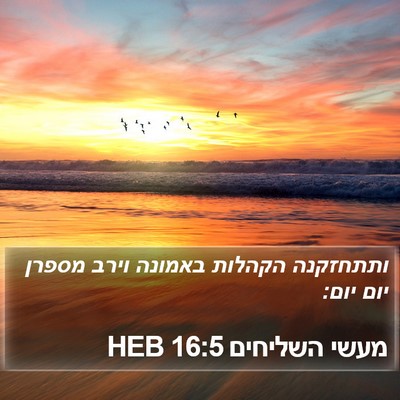 מעשי השליחים 16:5 HEB Bible Verse Image