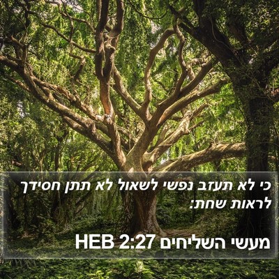 מעשי השליחים 2:27 HEB Bible Verse Image