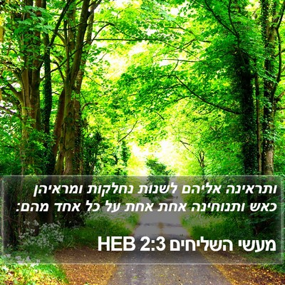 מעשי השליחים 2:3 HEB Bible Verse Image