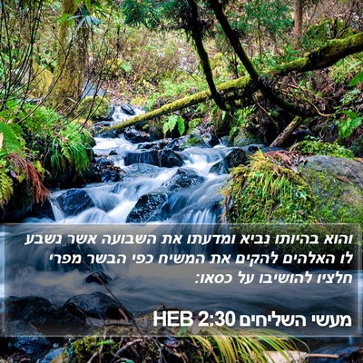 מעשי השליחים 2:30 HEB Bible Verse Image