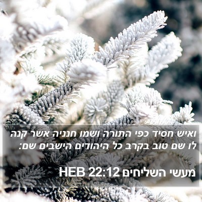 מעשי השליחים 22:12 HEB Bible Verse Image