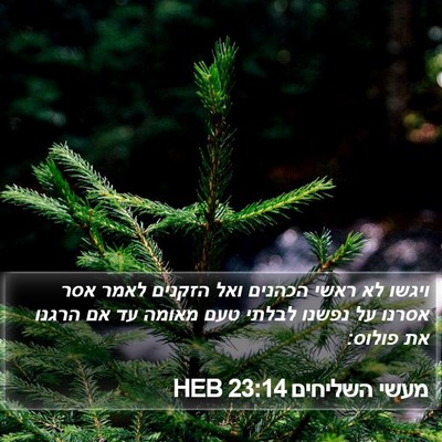 מעשי השליחים 23:14 HEB Bible Verse Image