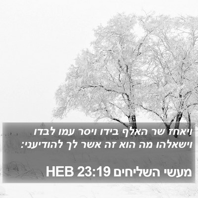 מעשי השליחים 23:19 HEB Bible Verse Image