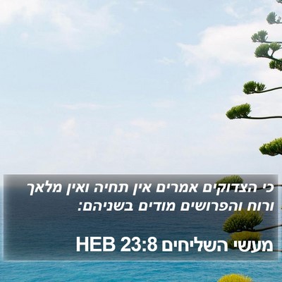 מעשי השליחים 23:8 HEB Bible Verse Image