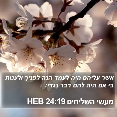 מעשי השליחים 24:19 HEB Bible Verse Image