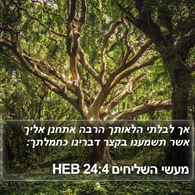 מעשי השליחים 24:4 HEB Bible Verse Image