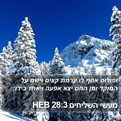מעשי השליחים 28:3 HEB Bible Verse Image